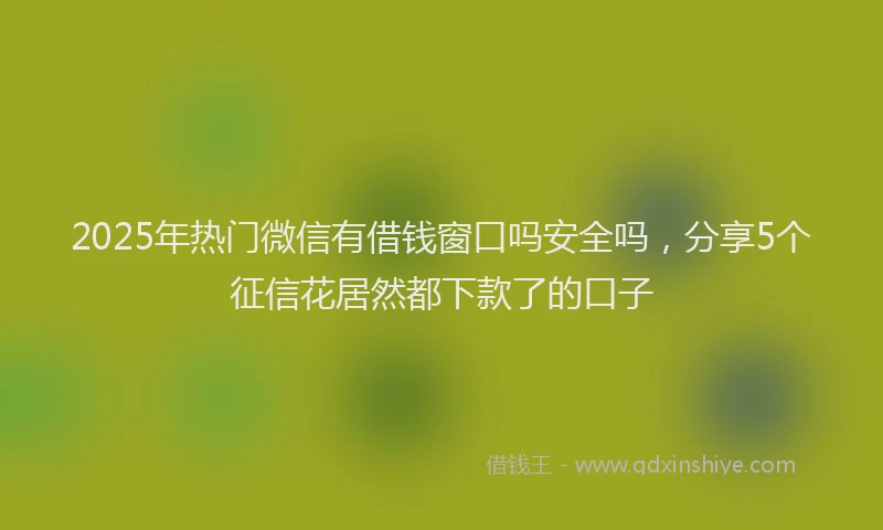 2025年热门微信有借钱窗口吗安全吗，分享5个征信花居然都下款了的口子