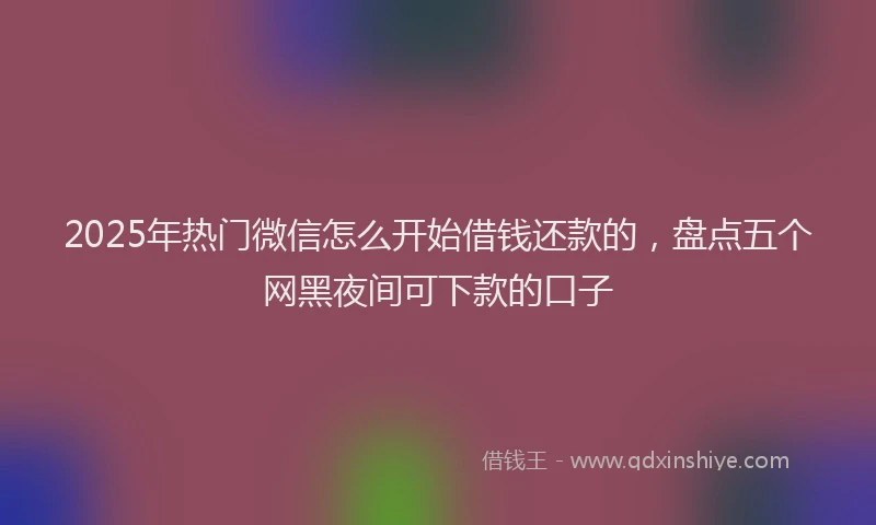 2025年热门微信怎么开始借钱还款的，盘点五个网黑夜间可下款的口子