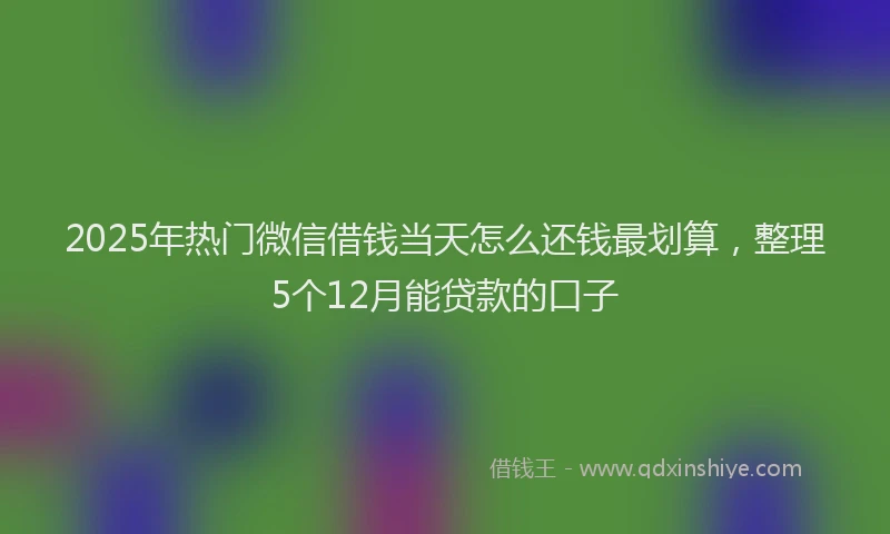 2025年热门微信借钱当天怎么还钱最划算，整理5个12月能贷款的口子