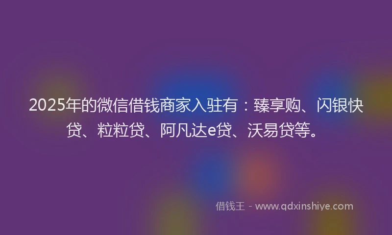 2025年的微信借钱商家入驻有：臻享购、闪银快贷、粒粒贷、阿凡达e贷、沃易贷等。