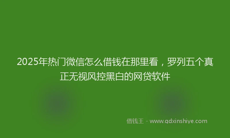 2025年热门微信怎么借钱在那里看，罗列五个真正无视风控黑白的网贷软件