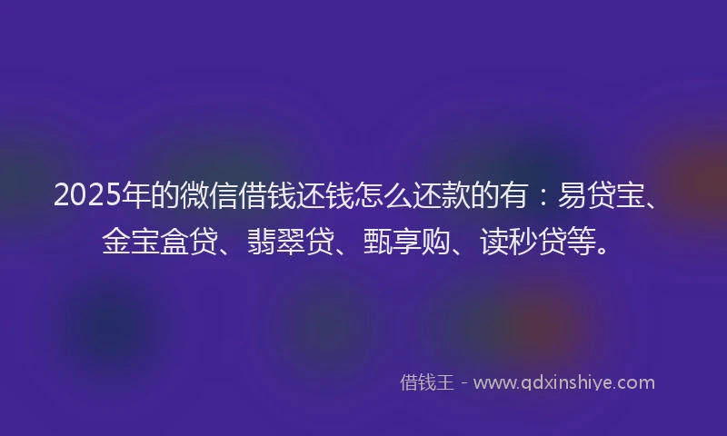 2025年的微信借钱还钱怎么还款的有：易贷宝、金宝盒贷、翡翠贷、甄享购、读秒贷等。