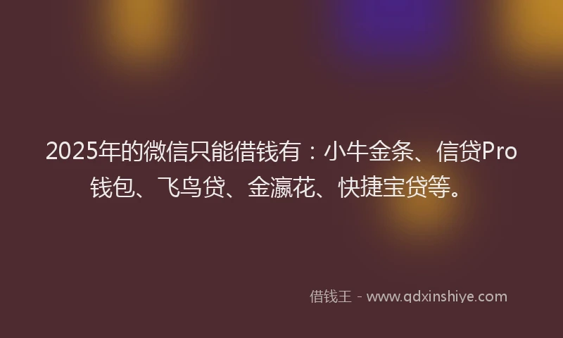 2025年的微信只能借钱有：小牛金条、信贷Pro钱包、飞鸟贷、金瀛花、快捷宝贷等。