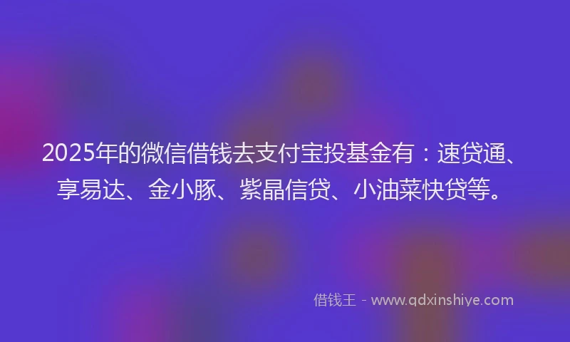 2025年的微信借钱去支付宝投基金有：速贷通、享易达、金小豚、紫晶信贷、小油菜快贷等。