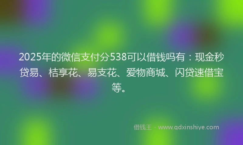 2025年的微信支付分538可以借钱吗有：现金秒贷易、桔享花、易支花、爱物商城、闪贷速借宝等。