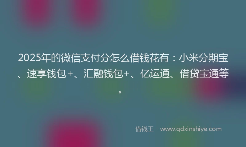 2025年的微信支付分怎么借钱花有：小米分期宝、速享钱包+、汇融钱包+、亿运通、借贷宝通等。