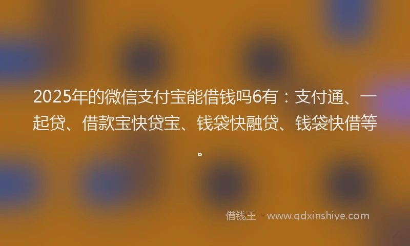2025年的微信支付宝能借钱吗6有：支付通、一起贷、借款宝快贷宝、钱袋快融贷、钱袋快借等。