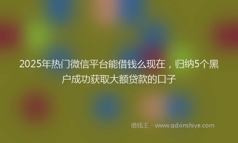 2025年热门微信平台能借钱么现在，归纳5个黑户成功获取大额贷款的口子