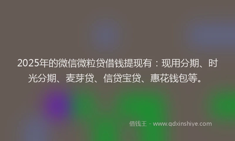 2025年的微信微粒贷借钱提现有：现用分期、时光分期、麦芽贷、信贷宝贷、惠花钱包等。