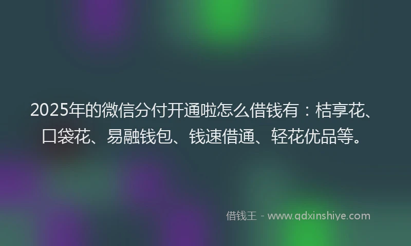 2025年的微信分付开通啦怎么借钱有：桔享花、口袋花、易融钱包、钱速借通、轻花优品等。