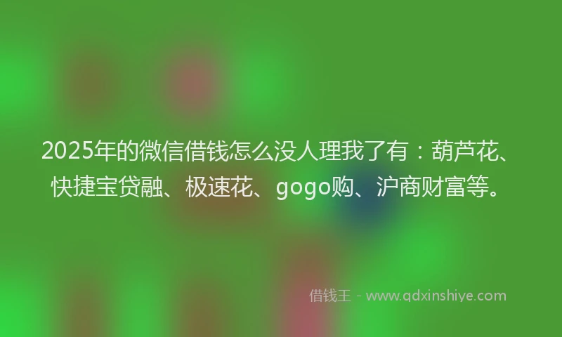 2025年的微信借钱怎么没人理我了有：葫芦花、快捷宝贷融、极速花、gogo购、沪商财富等。