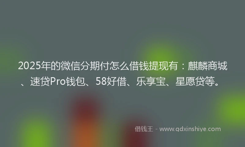 2025年的微信分期付怎么借钱提现有：麒麟商城、速贷Pro钱包、58好借、乐享宝、星愿贷等。
