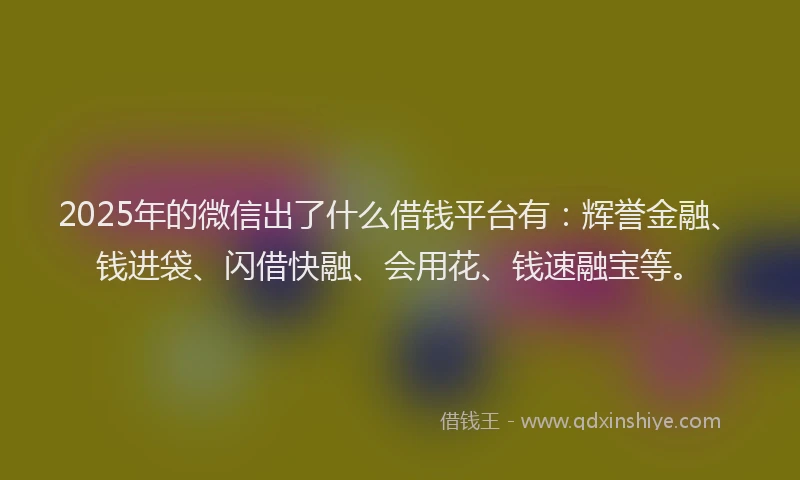 2025年的微信出了什么借钱平台有：辉誉金融、钱进袋、闪借快融、会用花、钱速融宝等。