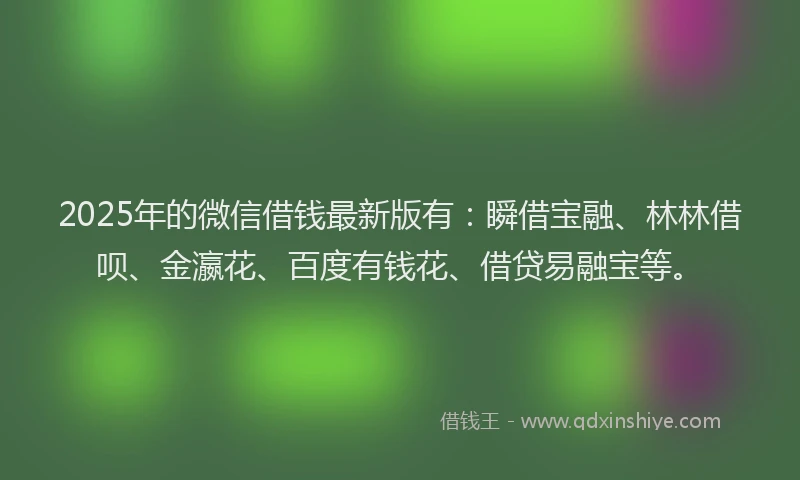 2025年的微信借钱最新版有：瞬借宝融、林林借呗、金瀛花、百度有钱花、借贷易融宝等。