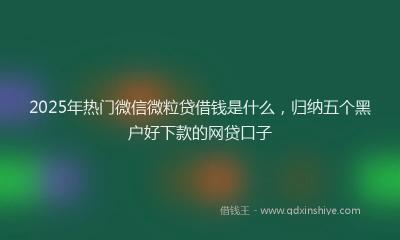 2025年热门微信微粒贷借钱是什么，归纳五个黑户好下款的网贷口子