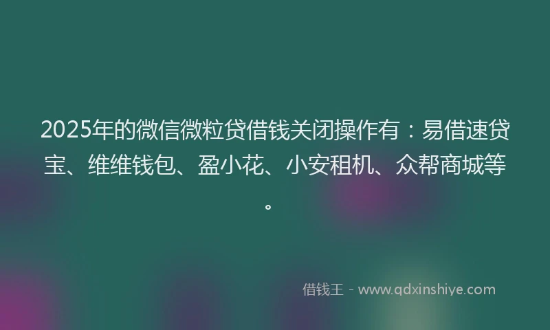 2025年的微信微粒贷借钱关闭操作有：易借速贷宝、维维钱包、盈小花、小安租机、众帮商城等。