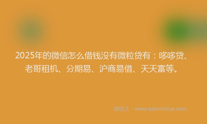 2025年的微信怎么借钱没有微粒贷有：哆哆贷、老哥租机、分期易、沪商易借、天天富等。