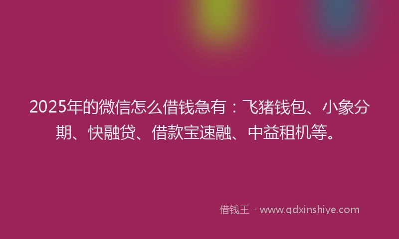 2025年的微信怎么借钱急有：飞猪钱包、小象分期、快融贷、借款宝速融、中益租机等。