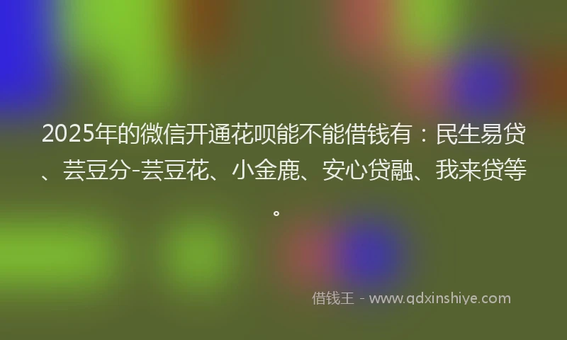 2025年的微信开通花呗能不能借钱有：民生易贷、芸豆分-芸豆花、小金鹿、安心贷融、我来贷等。