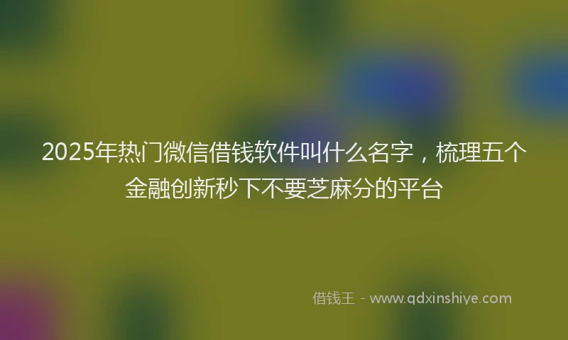 2025年热门微信借钱软件叫什么名字，梳理五个金融创新秒下不要芝麻分的平台