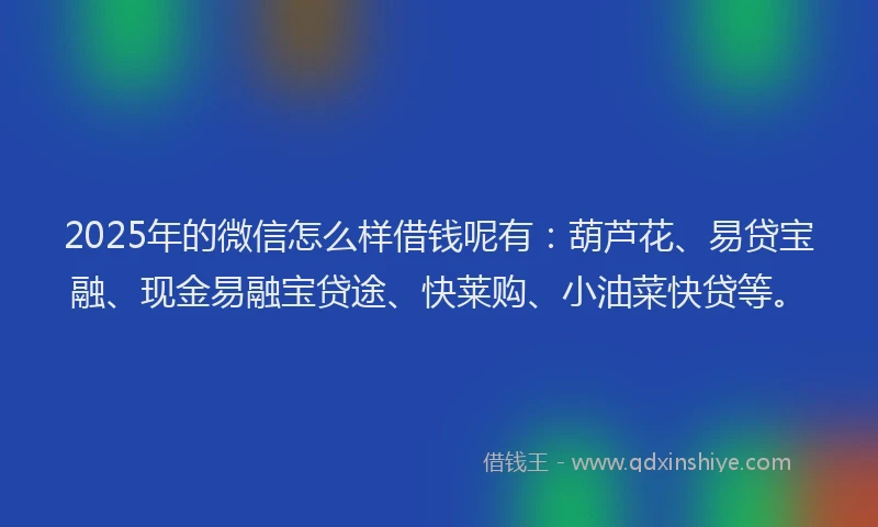 2025年的微信怎么样借钱呢有：葫芦花、易贷宝融、现金易融宝贷途、快莱购、小油菜快贷等。