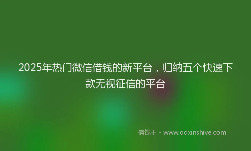 2025年热门微信借钱的新平台，归纳五个快速下款无视征信的平台