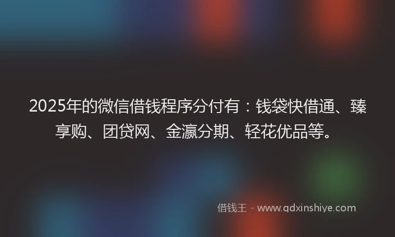 2025年的微信借钱程序分付有：钱袋快借通、臻享购、团贷网、金瀛分期、轻花优品等。