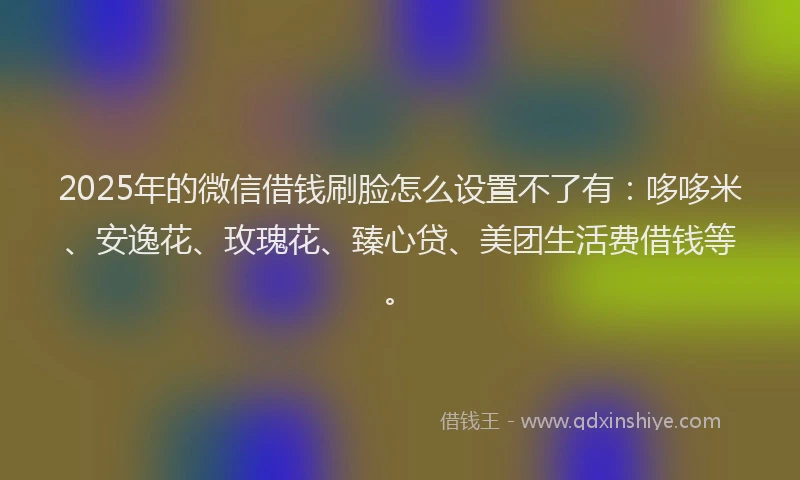 2025年的微信借钱刷脸怎么设置不了有：哆哆米、安逸花、玫瑰花、臻心贷、美团生活费借钱等。