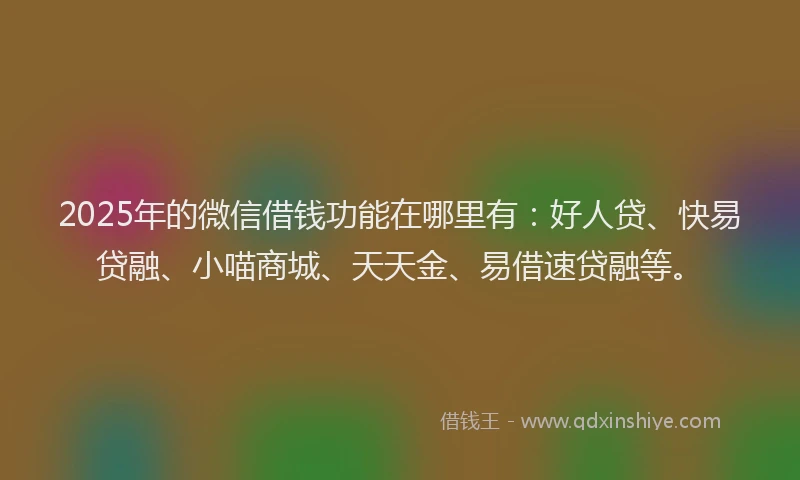 2025年的微信借钱功能在哪里有：好人贷、快易贷融、小喵商城、天天金、易借速贷融等。