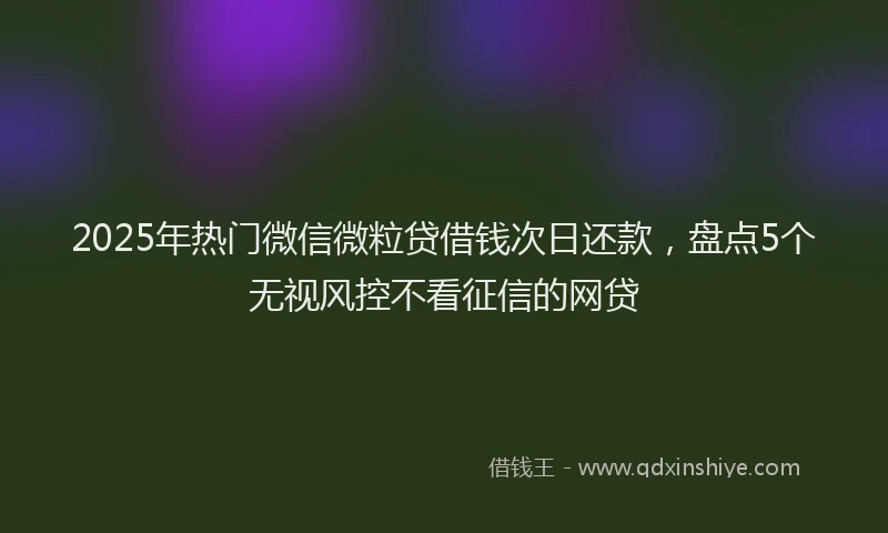 2025年热门微信微粒贷借钱次日还款，盘点5个无视风控不看征信的网贷