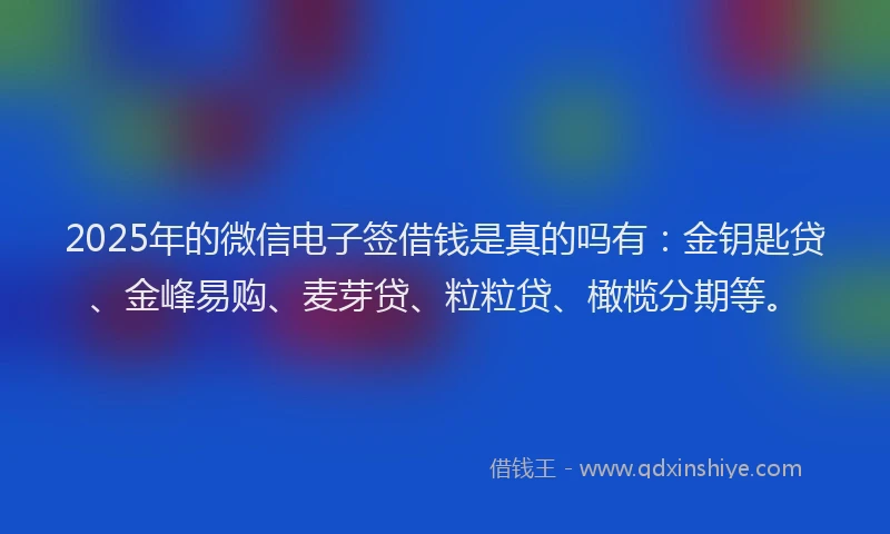 2025年的微信电子签借钱是真的吗有：金钥匙贷、金峰易购、麦芽贷、粒粒贷、橄榄分期等。