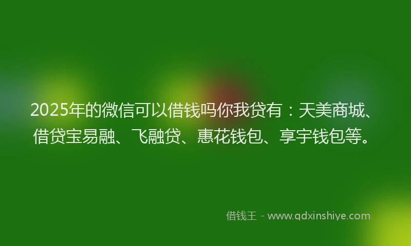 2025年的微信可以借钱吗你我贷有：天美商城、借贷宝易融、飞融贷、惠花钱包、享宇钱包等。
