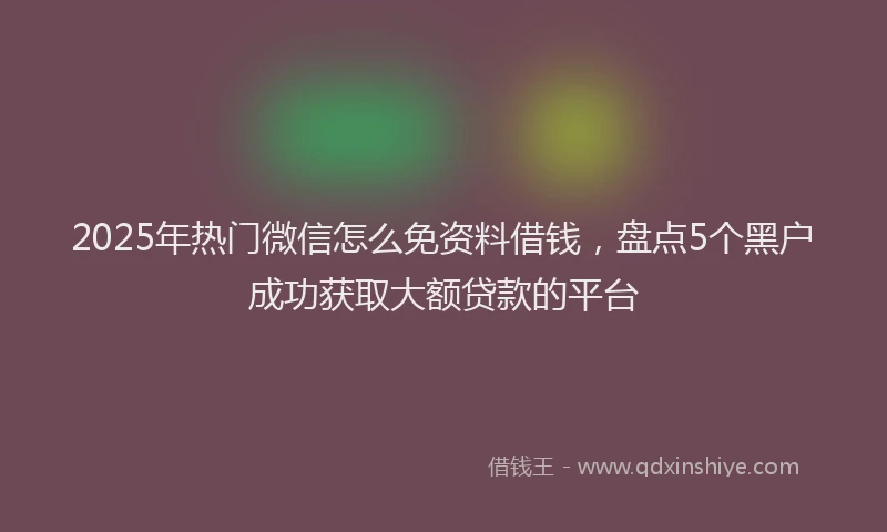 2025年热门微信怎么免资料借钱，盘点5个黑户成功获取大额贷款的平台