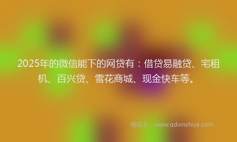2025年的微信能下的网贷有：借贷易融贷、宅租机、百兴贷、雪花商城、现金快车等。