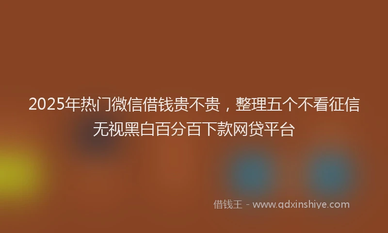 2025年热门微信借钱贵不贵，整理五个不看征信无视黑白百分百下款网贷平台