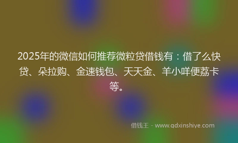 2025年的微信如何推荐微粒贷借钱有：借了么快贷、朵拉购、金速钱包、天天金、羊小咩便荔卡等。