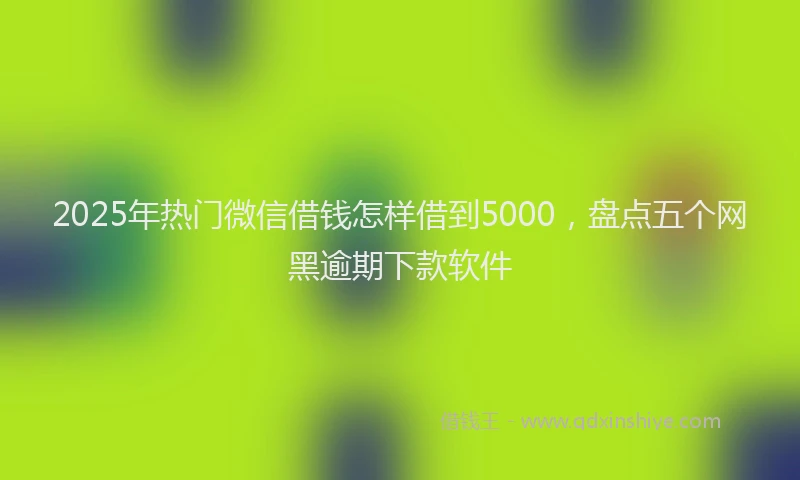 2025年热门微信借钱怎样借到5000，盘点五个网黑逾期下款软件