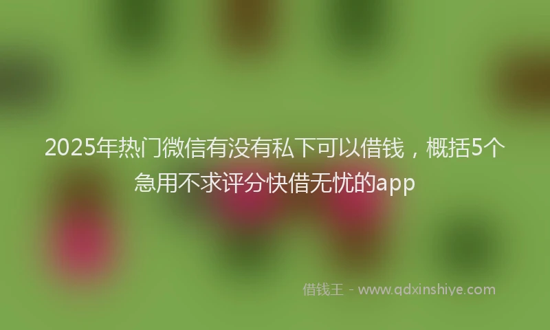 2025年热门微信有没有私下可以借钱，概括5个急用不求评分快借无忧的app