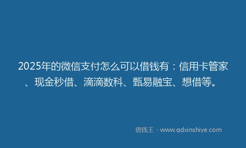 2025年的微信支付怎么可以借钱有：信用卡管家、现金秒借、滴滴数科、甄易融宝、想借等。