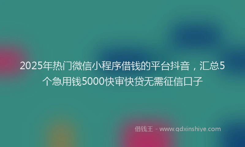 2025年热门微信小程序借钱的平台抖音，汇总5个急用钱5000快审快贷无需征信口子