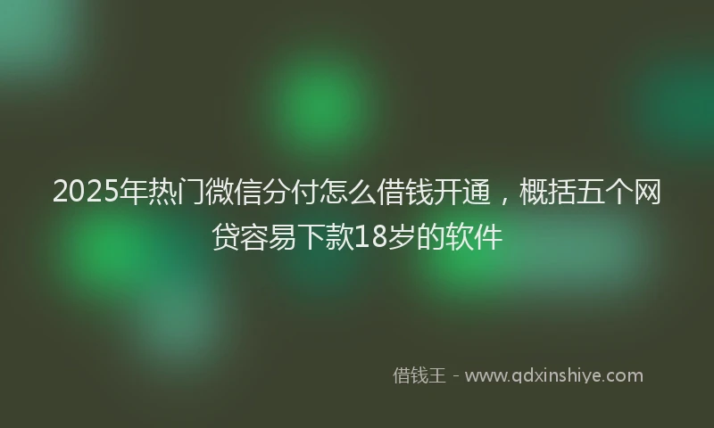 2025年热门微信分付怎么借钱开通，概括五个网贷容易下款18岁的软件