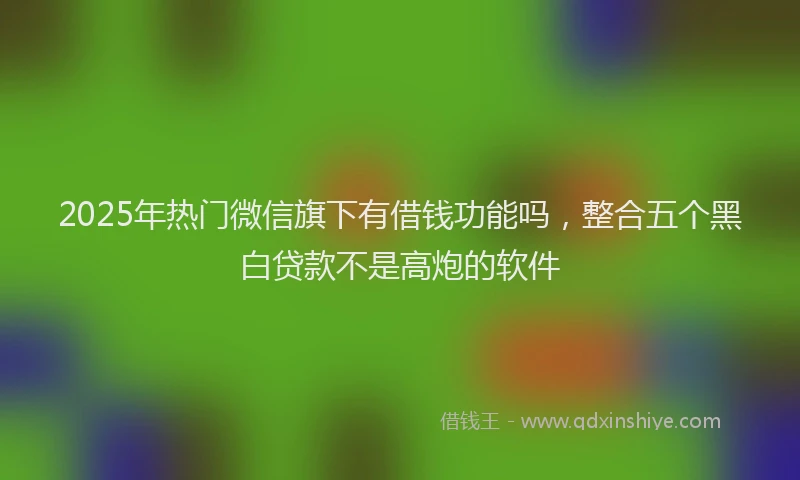 2025年热门微信旗下有借钱功能吗，整合五个黑白贷款不是高炮的软件