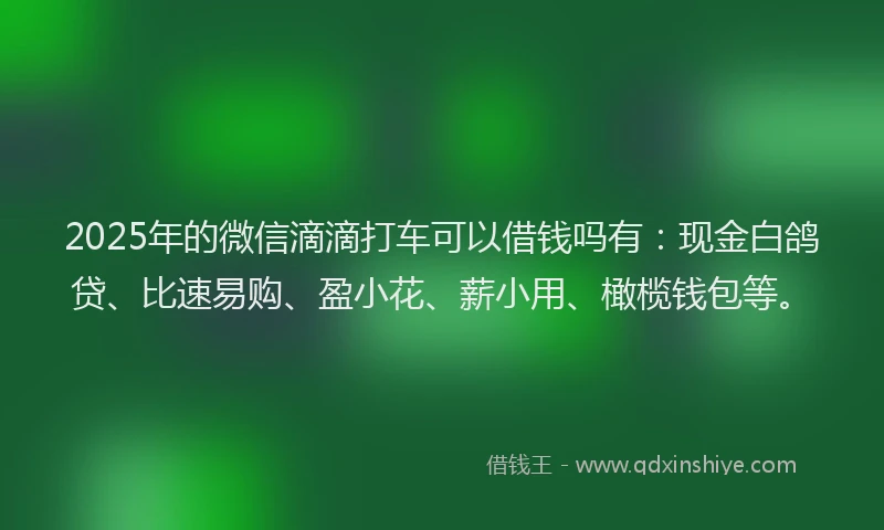 2025年的微信滴滴打车可以借钱吗有：现金白鸽贷、比速易购、盈小花、薪小用、橄榄钱包等。