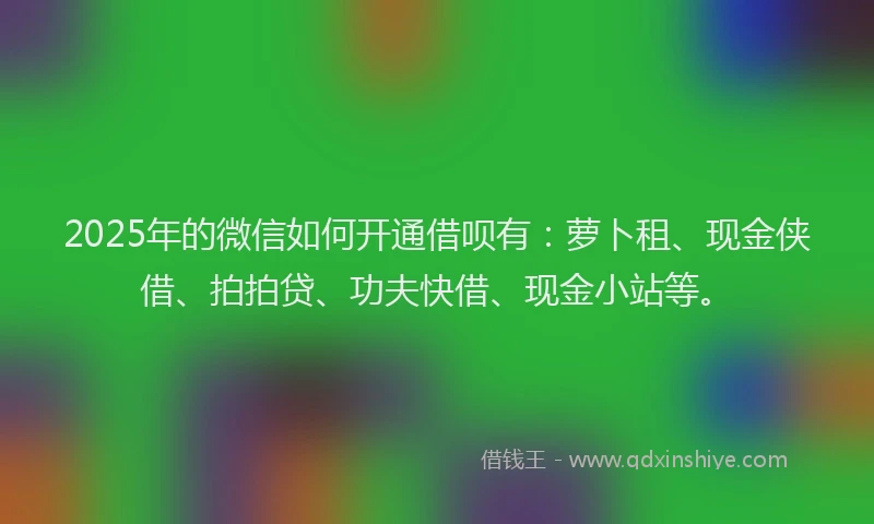 2025年的微信如何开通借呗有：萝卜租、现金侠借、拍拍贷、功夫快借、现金小站等。