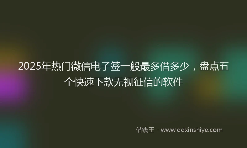 2025年热门微信电子签一般最多借多少，盘点五个快速下款无视征信的软件
