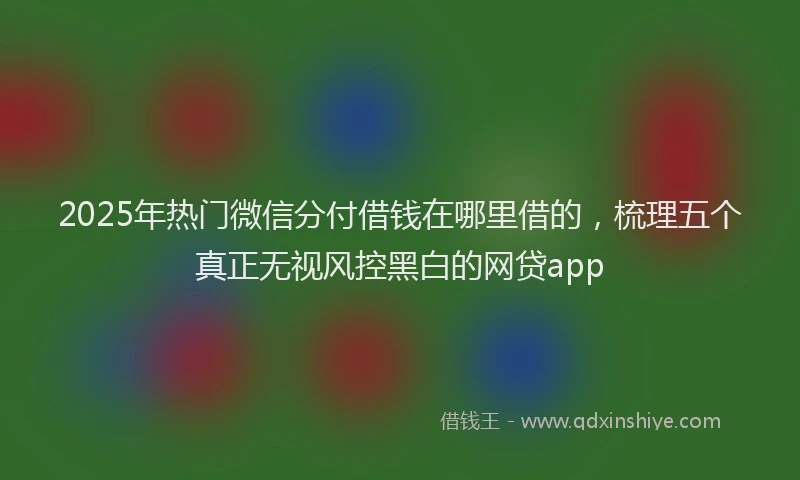 2025年热门微信分付借钱在哪里借的，梳理五个真正无视风控黑白的网贷app