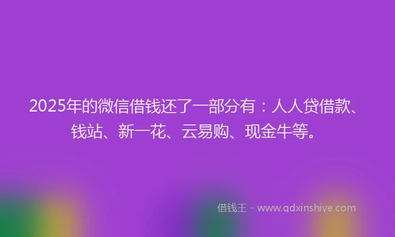 2025年的微信借钱还了一部分有：人人贷借款、钱站、新一花、云易购、现金牛等。