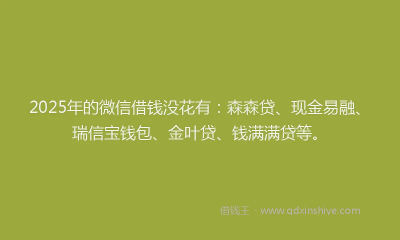 2025年的微信借钱没花有：森森贷、现金易融、瑞信宝钱包、金叶贷、钱满满贷等。