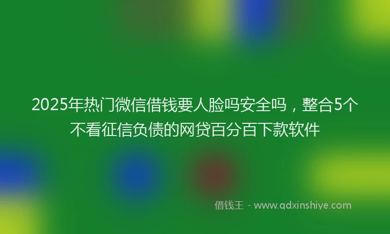 2025年热门微信借钱要人脸吗安全吗，整合5个不看征信负债的网贷百分百下款软件