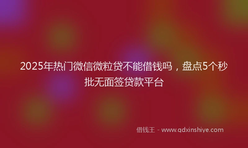 2025年热门微信微粒贷不能借钱吗，盘点5个秒批无面签贷款平台